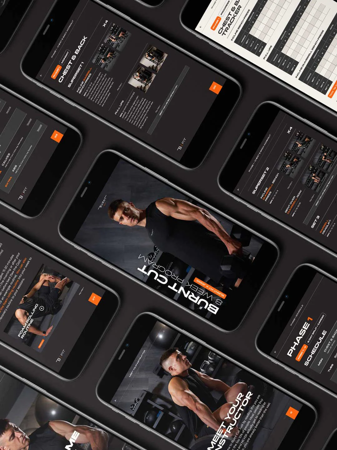 Burnt Cut | 8 Week Men's Gym Program - Image 3