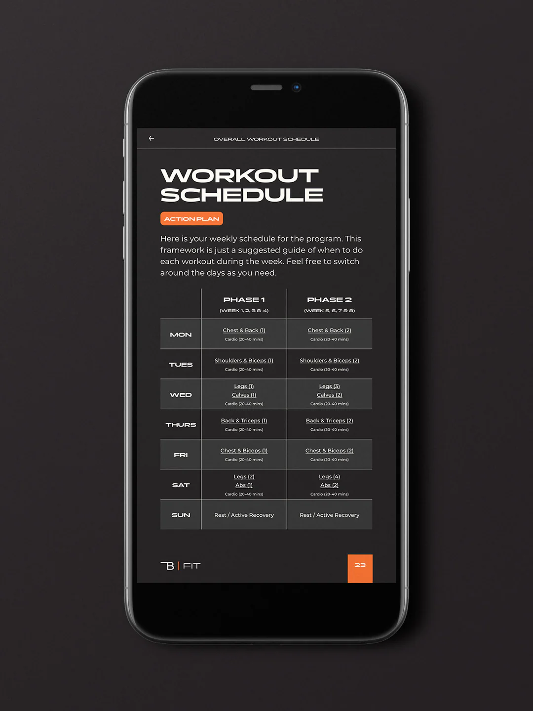 Burnt Cut | 8 Week Men's Gym Program - Image 6